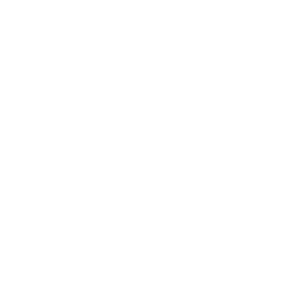 PROJEKTBEGLEITUNG Ad Fontes